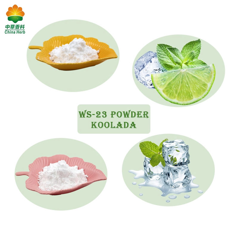 Menthol Taste WS-23 WS-3 WS-12 WS-23 Powder
