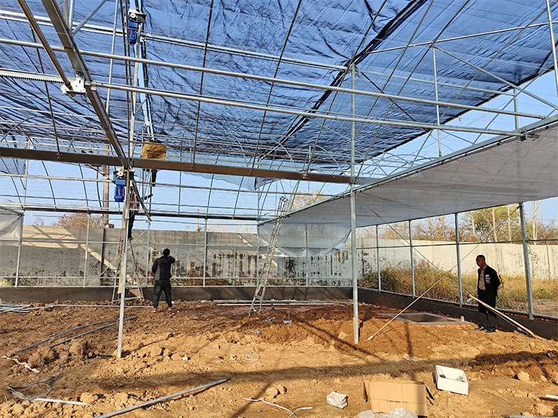 Galvanized steel frame agricultural greenhouse for vegetables