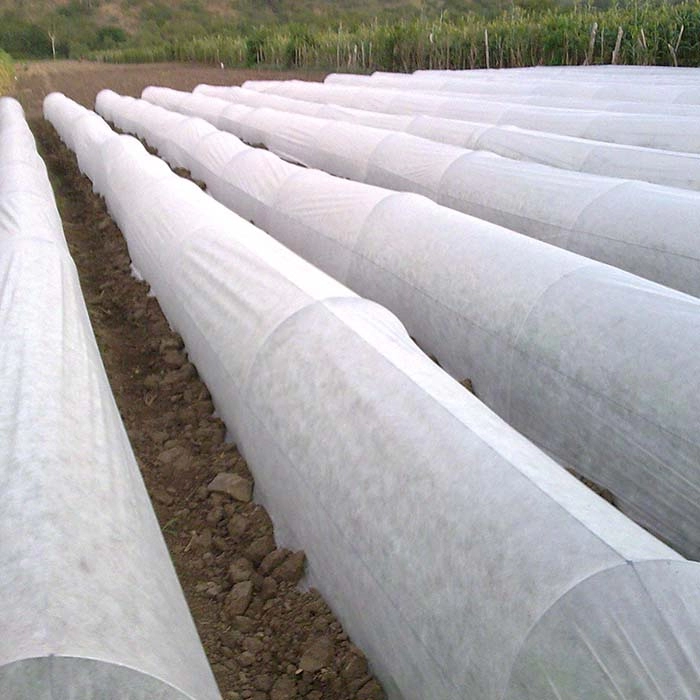 Nonwoven Ground Cover For Shaded Slope