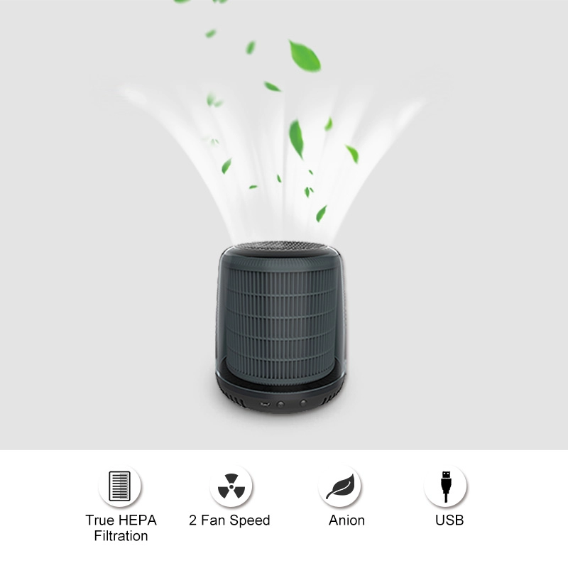 Professional Eco-friendly Hepa Type Air Purifier