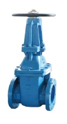 Cast iron rising stem gate valve