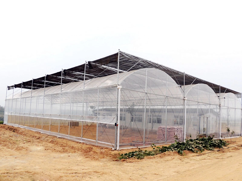 Steel structure multi-span film greenhouse