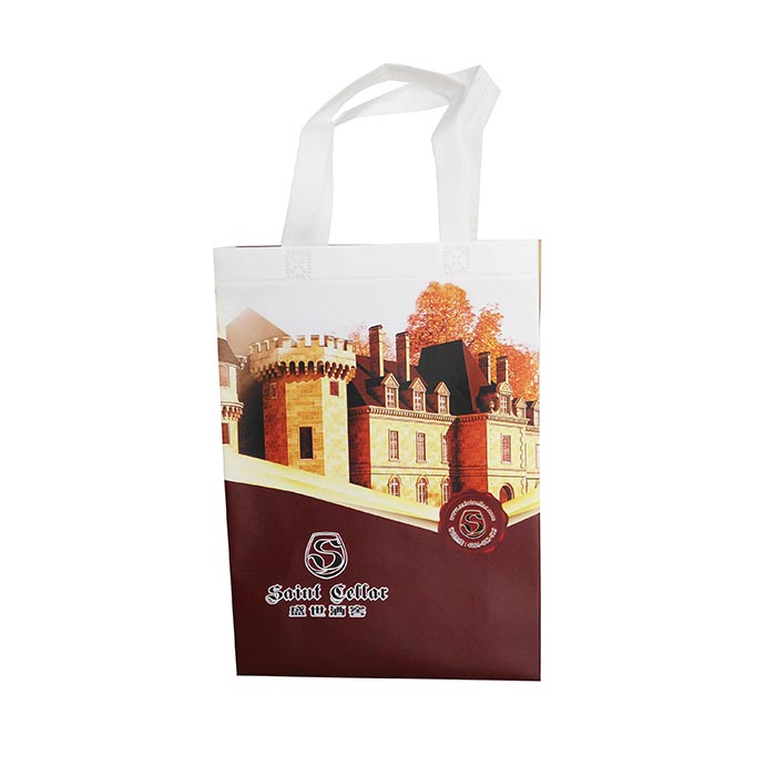 Non woven shopping bag