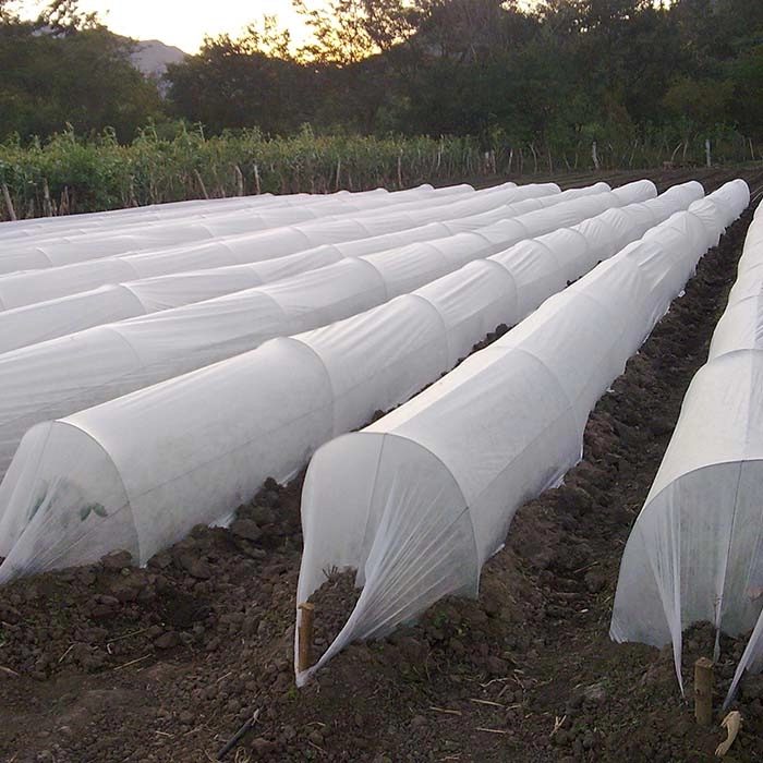 Non Woven Ground Cover For Greenhouse