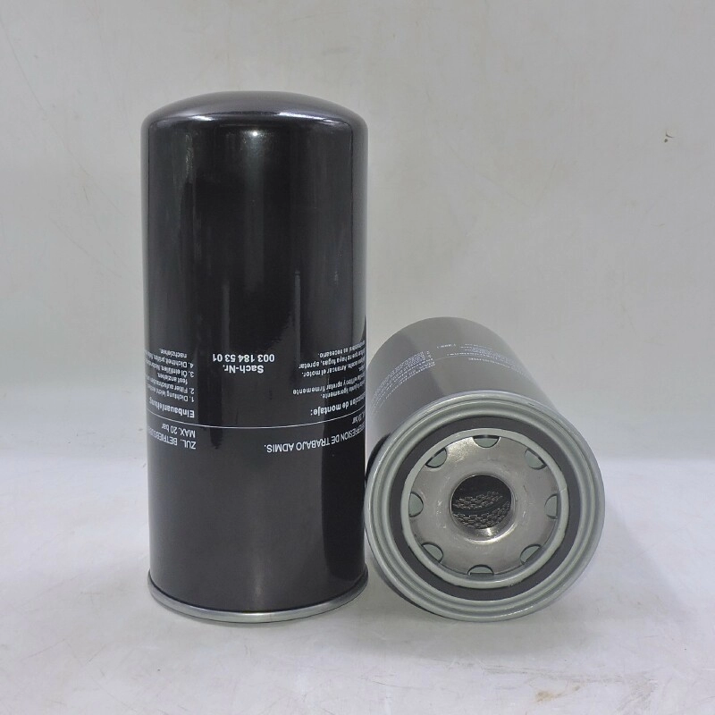 Oil Filter 0031845301 B7150 LF16245 WD13145/4 C-7303