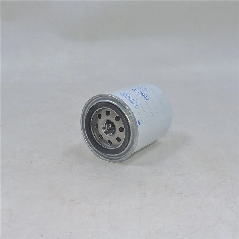 Oil Filter P552849 C-1920 B161-S LF3812