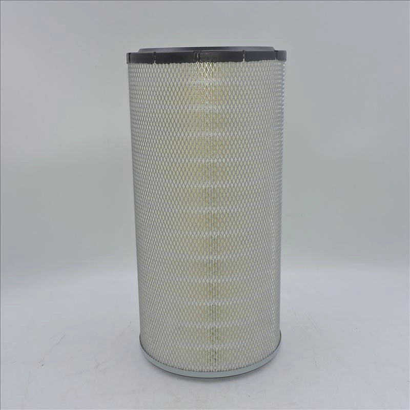 Air Filter RS30223 SA160015