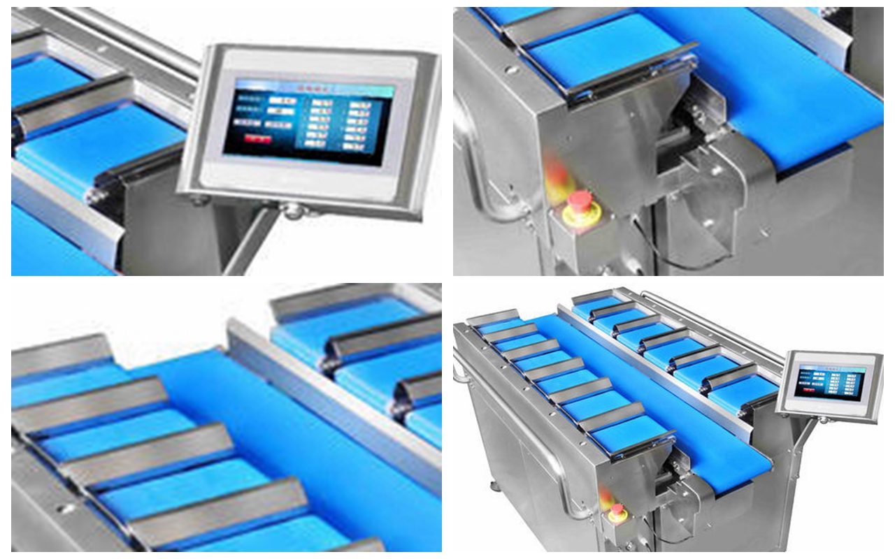 12 belt combination weigher details