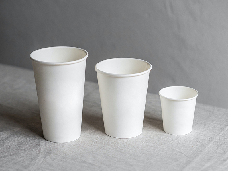 plain white paper cup