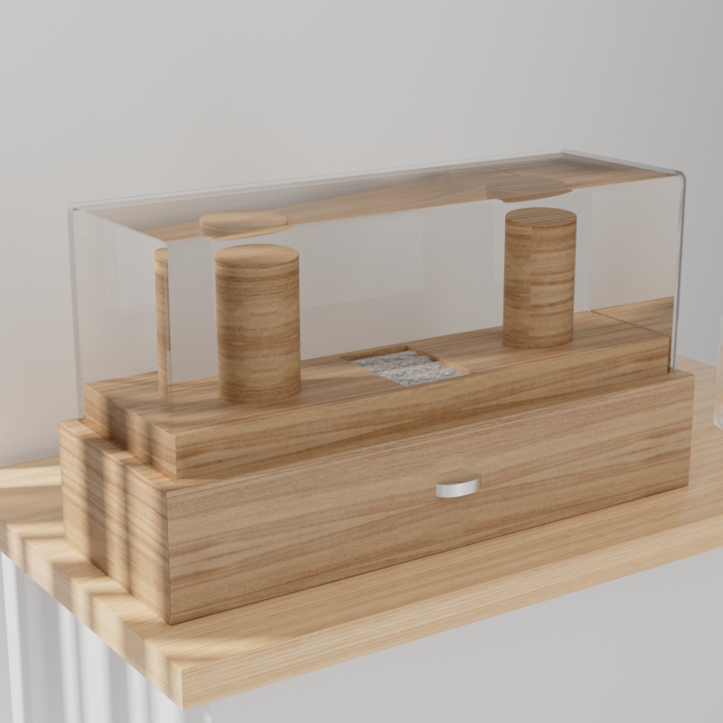 Watch Display Case For Men Organizer