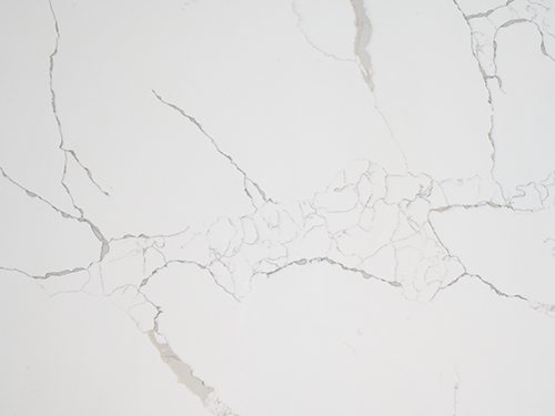 Calacatta Marmi Quartz Wall 