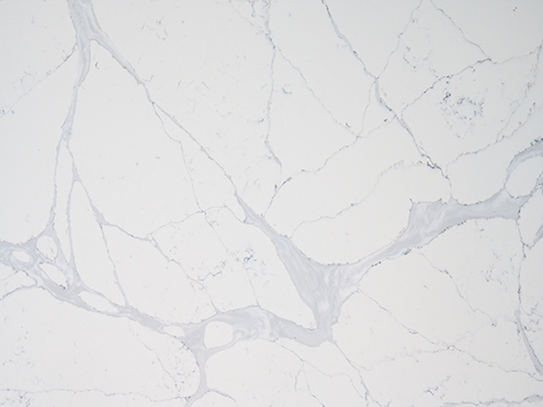 Calacatta Marmi Quartz Wall 