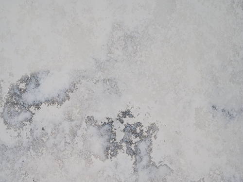 Calacatta Marmi Quartz Wall 