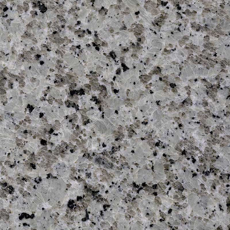 New Platinum White China White Granite Slabs Tiles Tops Tombstone