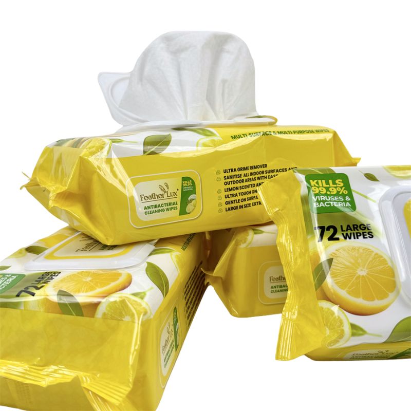 OEM Brand 72 Pieces Superior Quality Anti Bacterial Wet Wipes